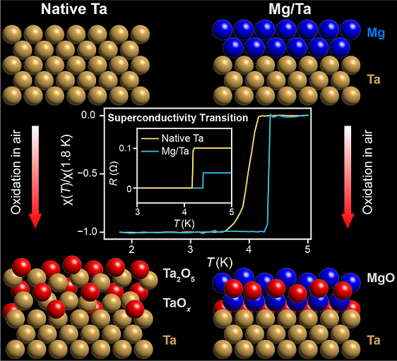 Magnesium Protects Tantalum, a Promising Material for Making Qubits