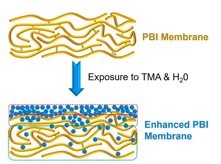 Topological Breakthroughs: Tuning Quantum States in 2D Heterostructures